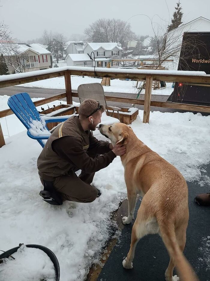 UPS-Delivery-Driver-Meets-Dogs