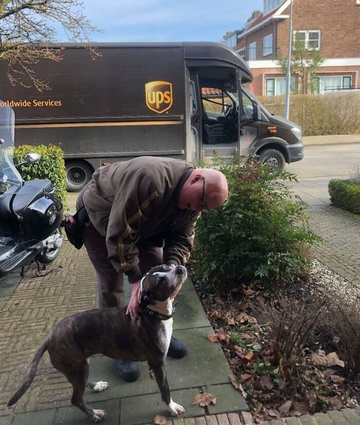 UPS-Delivery-Driver-Meets-Dogs
