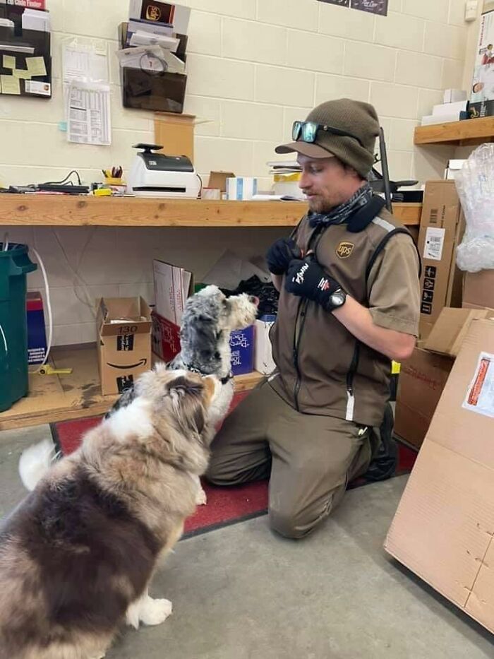 UPS-Delivery-Driver-Meets-Dogs