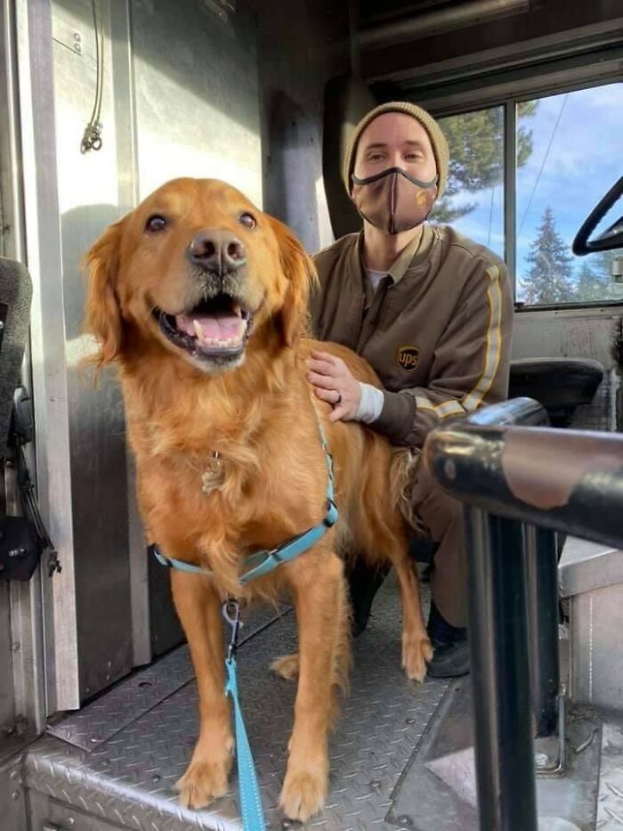 UPS-Delivery-Driver-Meets-Dogs