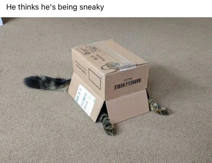 He Thinks He's Being Sneaky