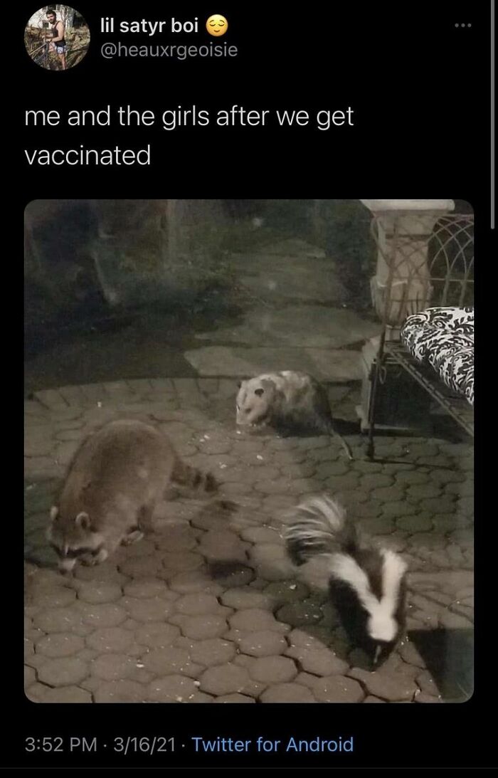 Me And The Girls After We Get Vaccinated