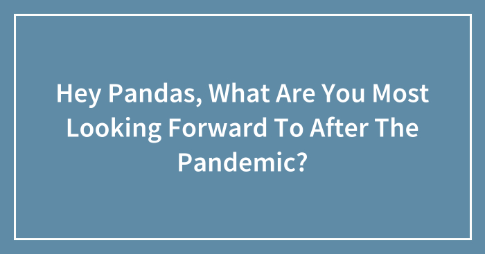 Hey Pandas, What Are You Most Looking Forward To After The Pandemic? (Closed)