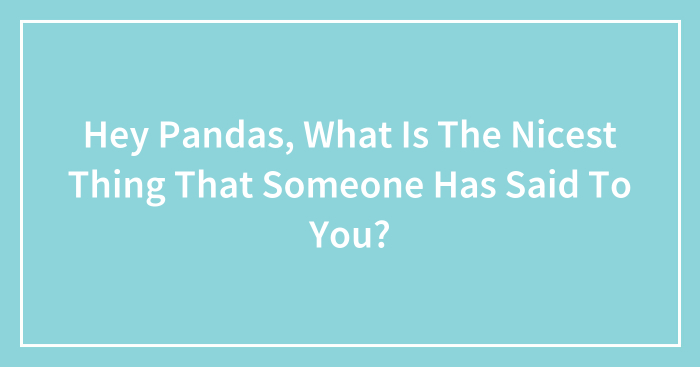 Hey Pandas, What Is The Nicest Thing That Someone Has Said To You? (Closed)