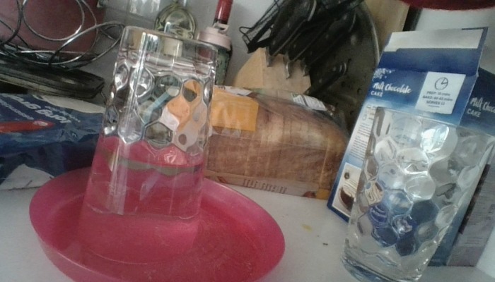 Hey Pandas, Share Your Pranks (Closed)