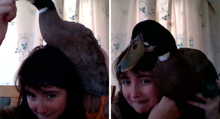 Hey Panda’s, Post A Pic That Describes Stupidity (Closed)