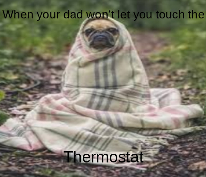 Hey Pandas, I’m New Here, So For Your First Challenge, Post The Most Honest Meme You Can Find (Closed)