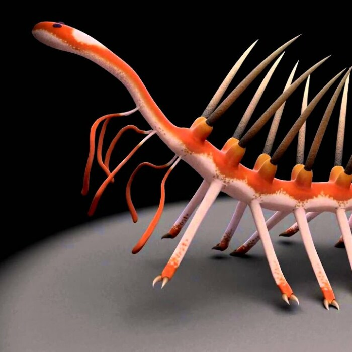 Hey Pandas, Share The Oddest Animals In The World (Closed)