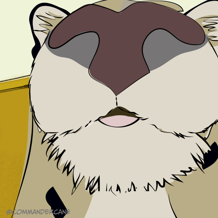 Commander Cane’s Guide To Extraordinary And Super Special Selfie Styles (7 Pics)