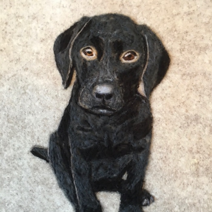 My Needle Felted Art (5 Pics)