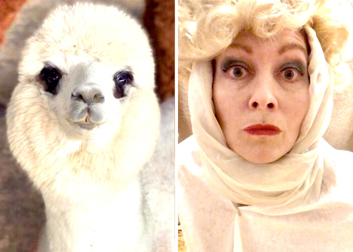 If You’re Willing To Impersonate Imperfectly, You’re Becoming Your Own Original, Here Are My 11 Photos