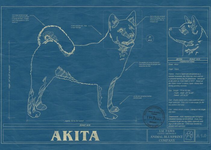 Here Are 5 Pics Of Dog Blueprint Art