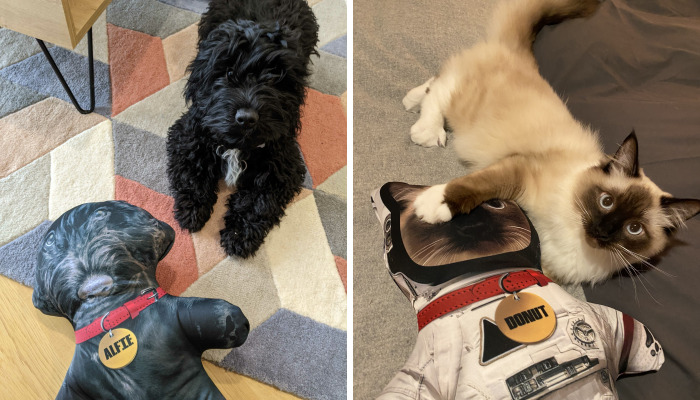 I Make Personalized Dolls Of Your Pets And The Results Are Totally Adorable