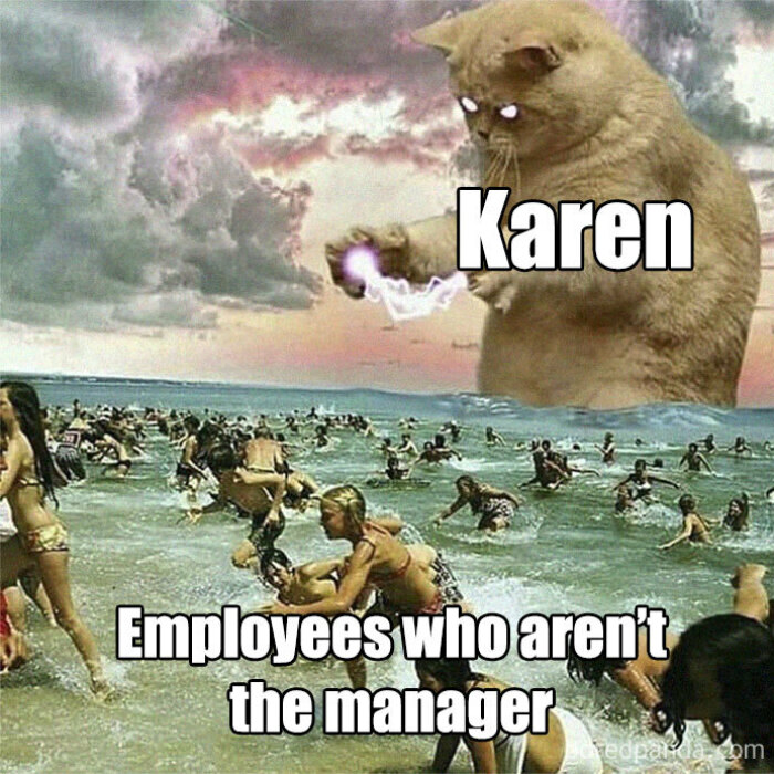 Hey Pandas, Post A Funny Karen Meme (Closed)