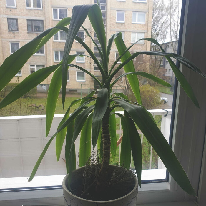 Hey Pandas, Post A Pic Of Something That You Found In The Trash And Took Home With You (Closed)