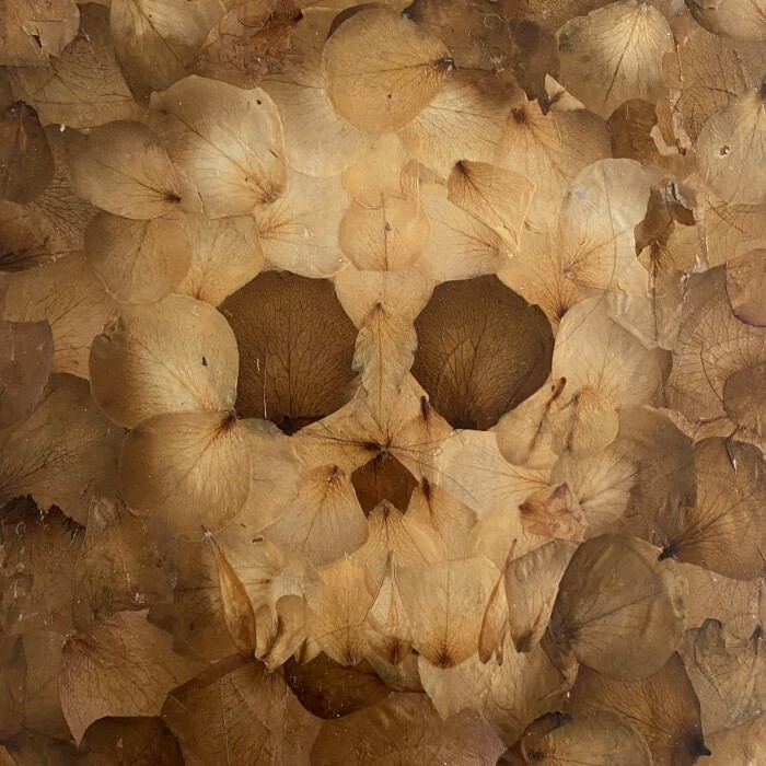 I Use Flower Petals Instead Of Paint To Create Artworks Inspired By The Human Connection With Nature