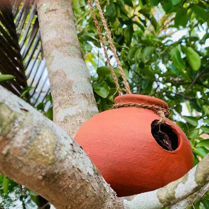 I Discovered The Beauty That’s Around Us (7 Pics)