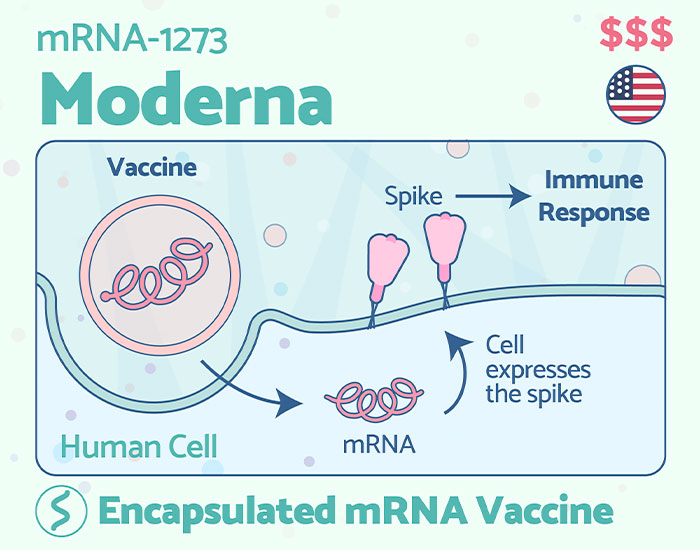 The Differences Between 9 COVID-19 Vaccines Explained In Simple Infographics By LaPipette