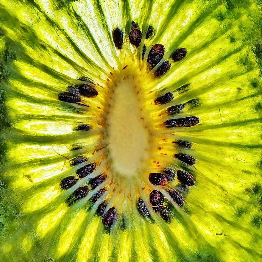 Kiwi
