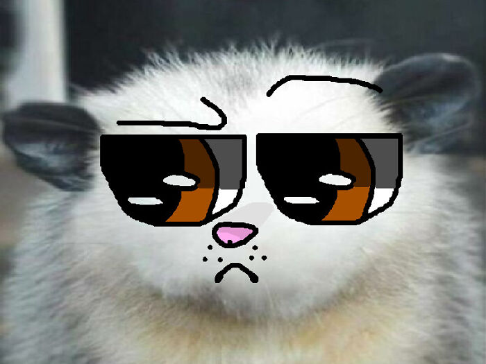 Not A Bad Face For A 12 Year Old ^w^