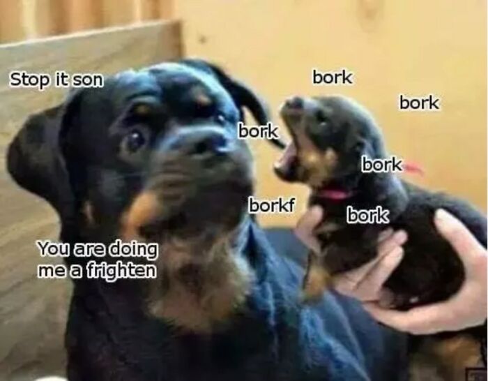 I Don't Know Why, It Just Made Me Laugh