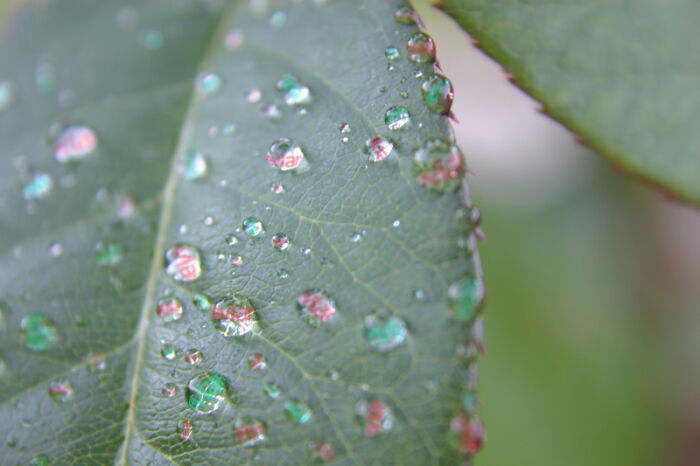 Designers Are Challenged To Place Ads, Logos Or Stores In The Most Unexpected Areas Imaginable