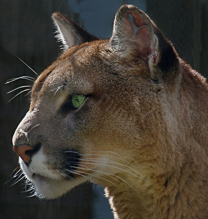 Designers Are Challenged To Place Ads, Logos Or Stores In The Most Unexpected Areas Imaginable