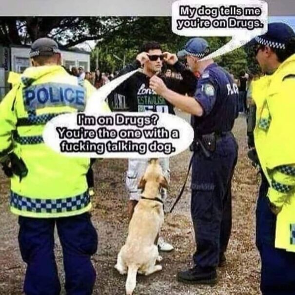 drugsdog-6076ca2bbafc4.jpg