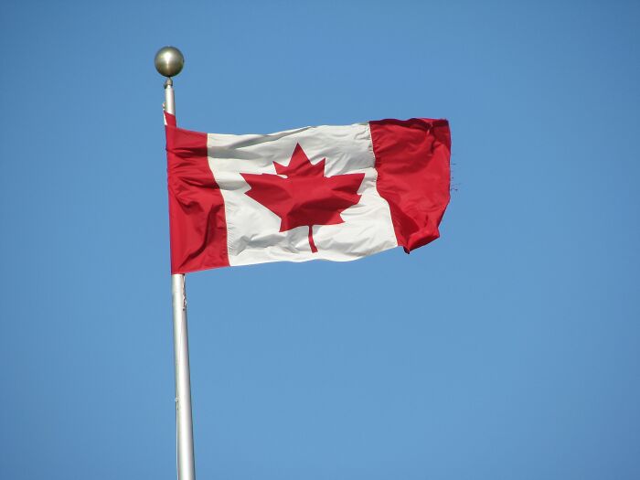 45 Of The Dumbest Things People Said Without Even Realizing It