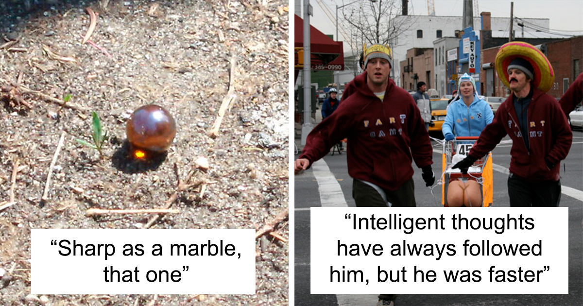 How To Call Someone Stupid In A Smart Way: 30 Clever Jabs