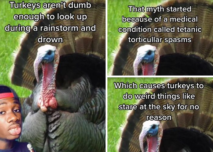 False-Animal-Facts-People-Believe