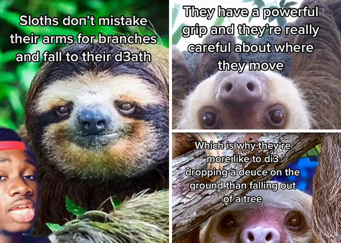 False-Animal-Facts-People-Believe