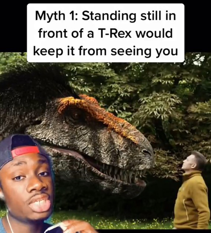 False-Animal-Facts-People-Believe