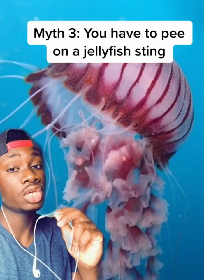 False-Animal-Facts-People-Believe