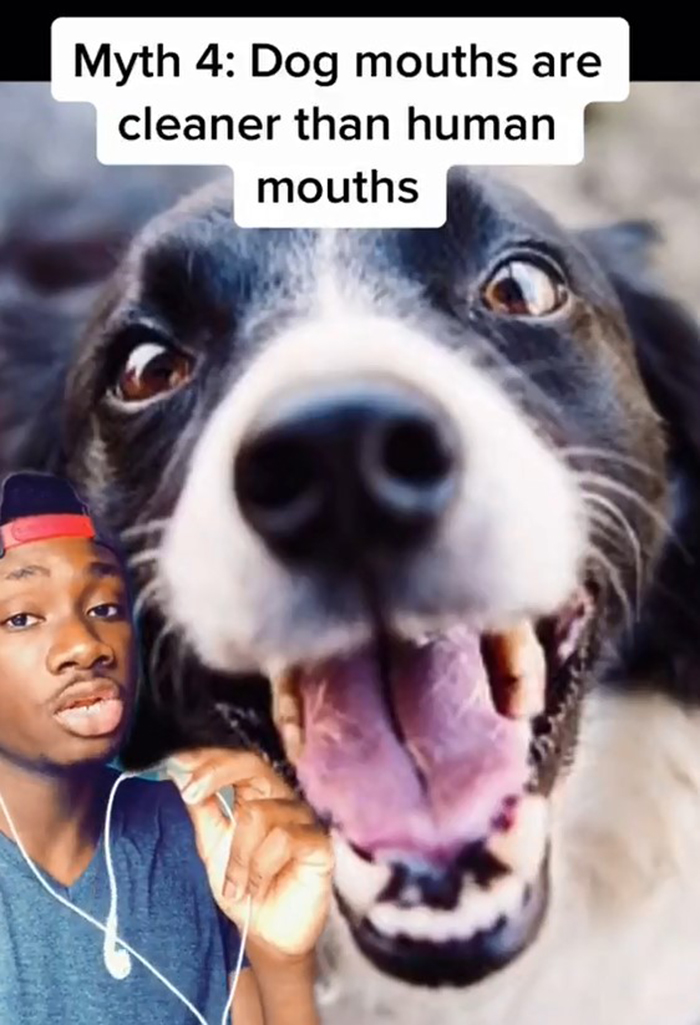 False-Animal-Facts-People-Believe