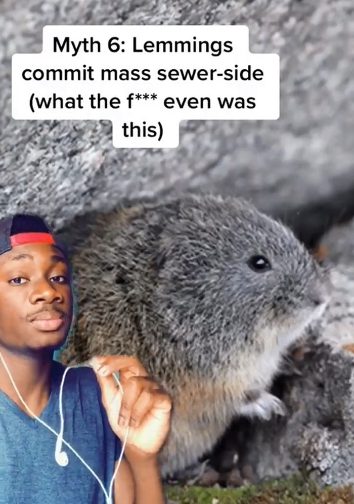 False-Animal-Facts-People-Believe