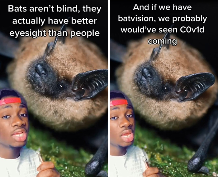 False-Animal-Facts-People-Believe