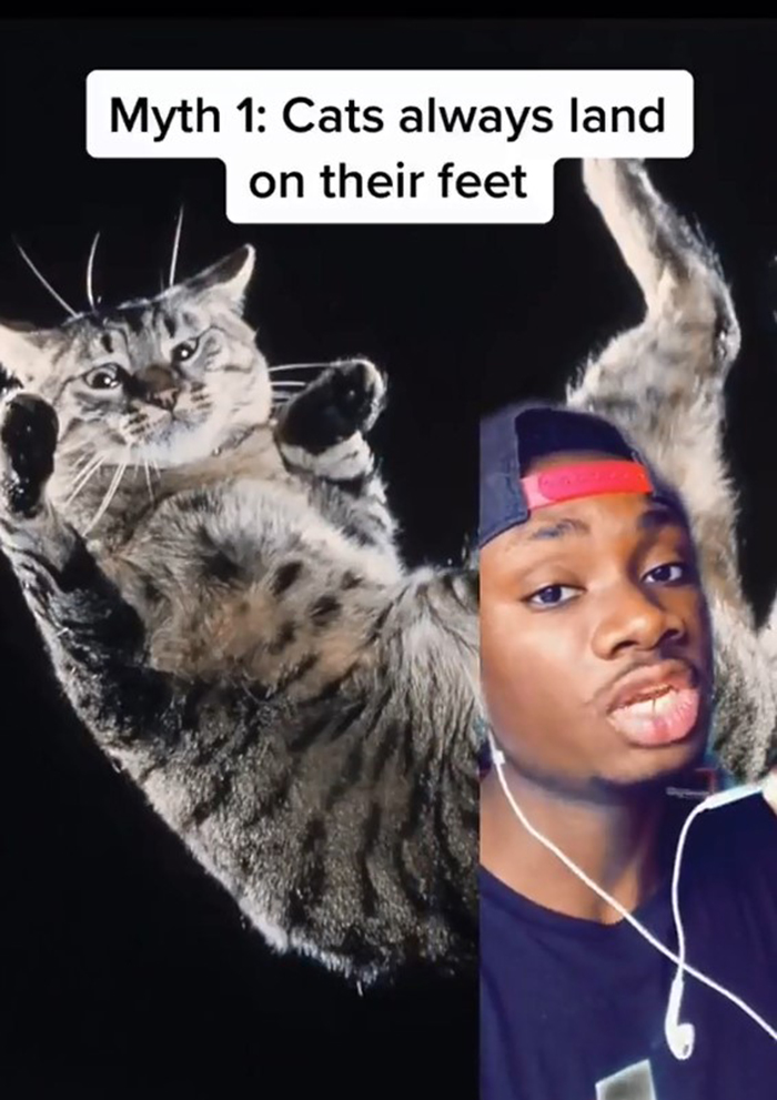 False-Animal-Facts-People-Believe