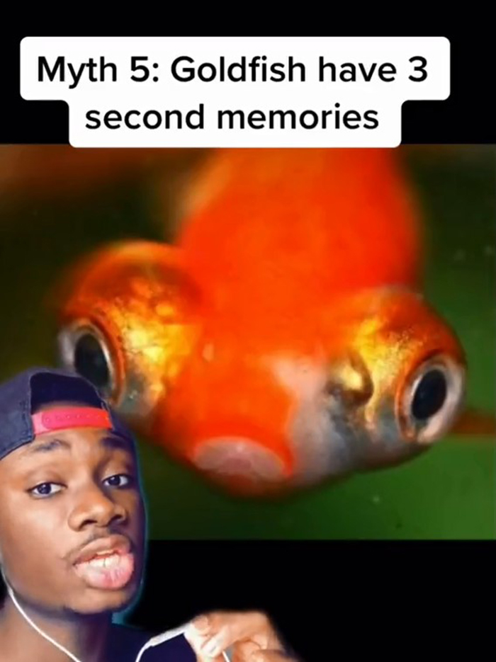 False-Animal-Facts-People-Believe