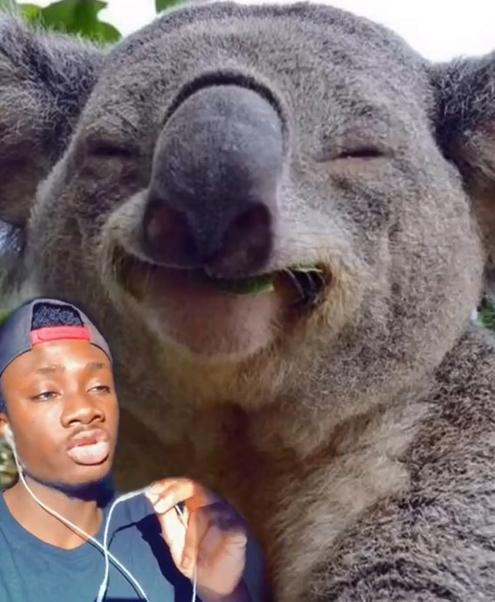 False-Animal-Facts-People-Believe