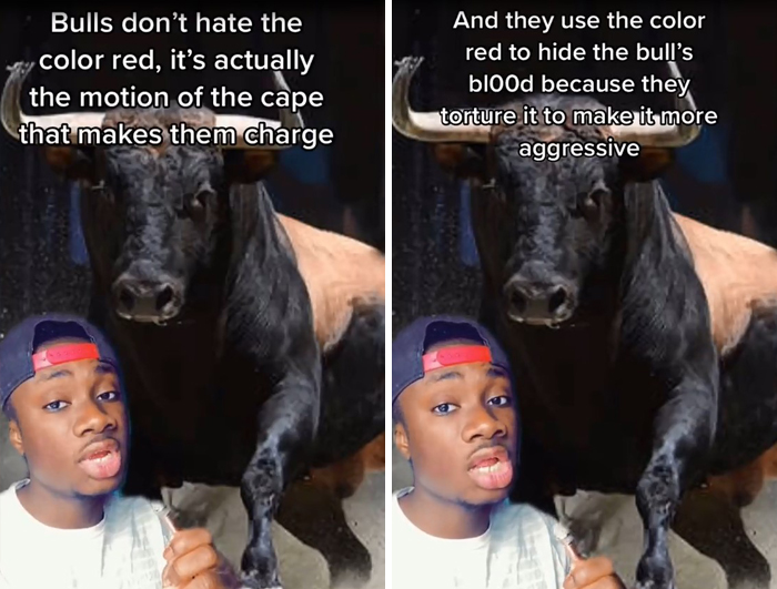 False-Animal-Facts-People-Believe