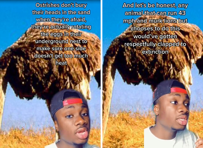 False-Animal-Facts-People-Believe