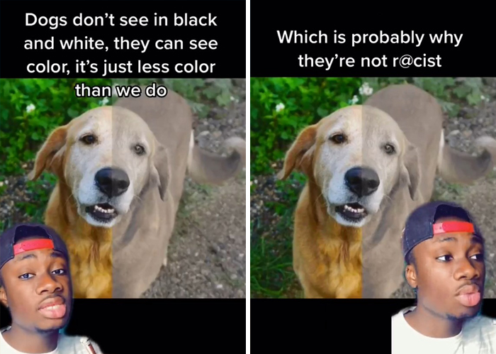 False-Animal-Facts-People-Believe