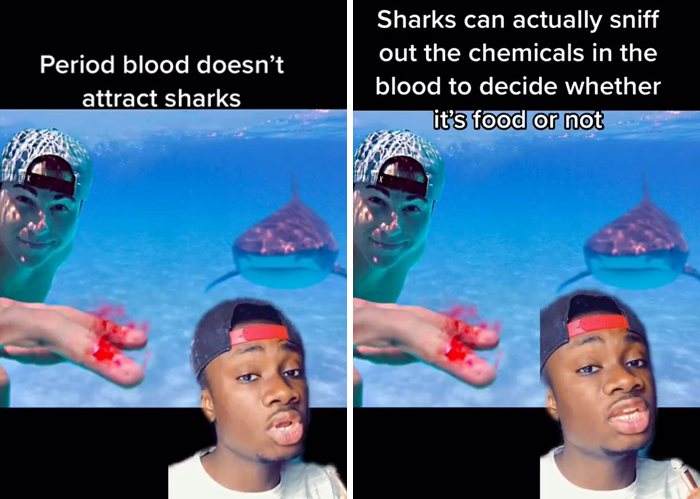 False-Animal-Facts-People-Believe