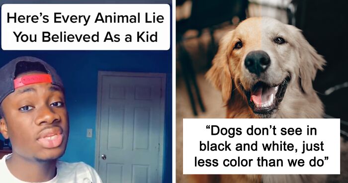 Guy Exposes 24 Animal Lies We Believe As Kids, Provides An Explanation About What Is Actually Happening