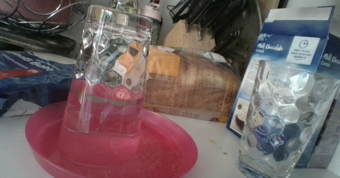 Hey Pandas, Share Your Pranks (Closed)