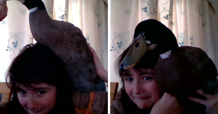 Hey Panda’s, Post A Pic That Describes Stupidity (Closed)