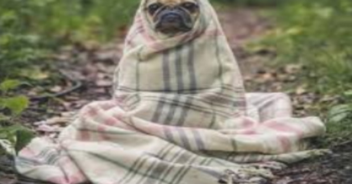 Hey Pandas, I’m New Here, So For Your First Challenge, Post The Most Honest Meme You Can Find (Closed)