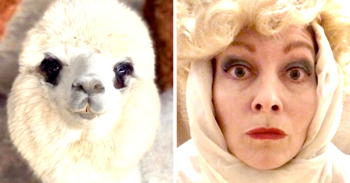 If You’re Willing To Impersonate Imperfectly, You’re Becoming Your Own Original, Here Are My 11 Photos