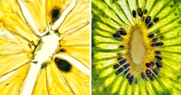 I Wanted To Show The Ephemeral Beauty And Dignity Of Faded And Withered Fruits